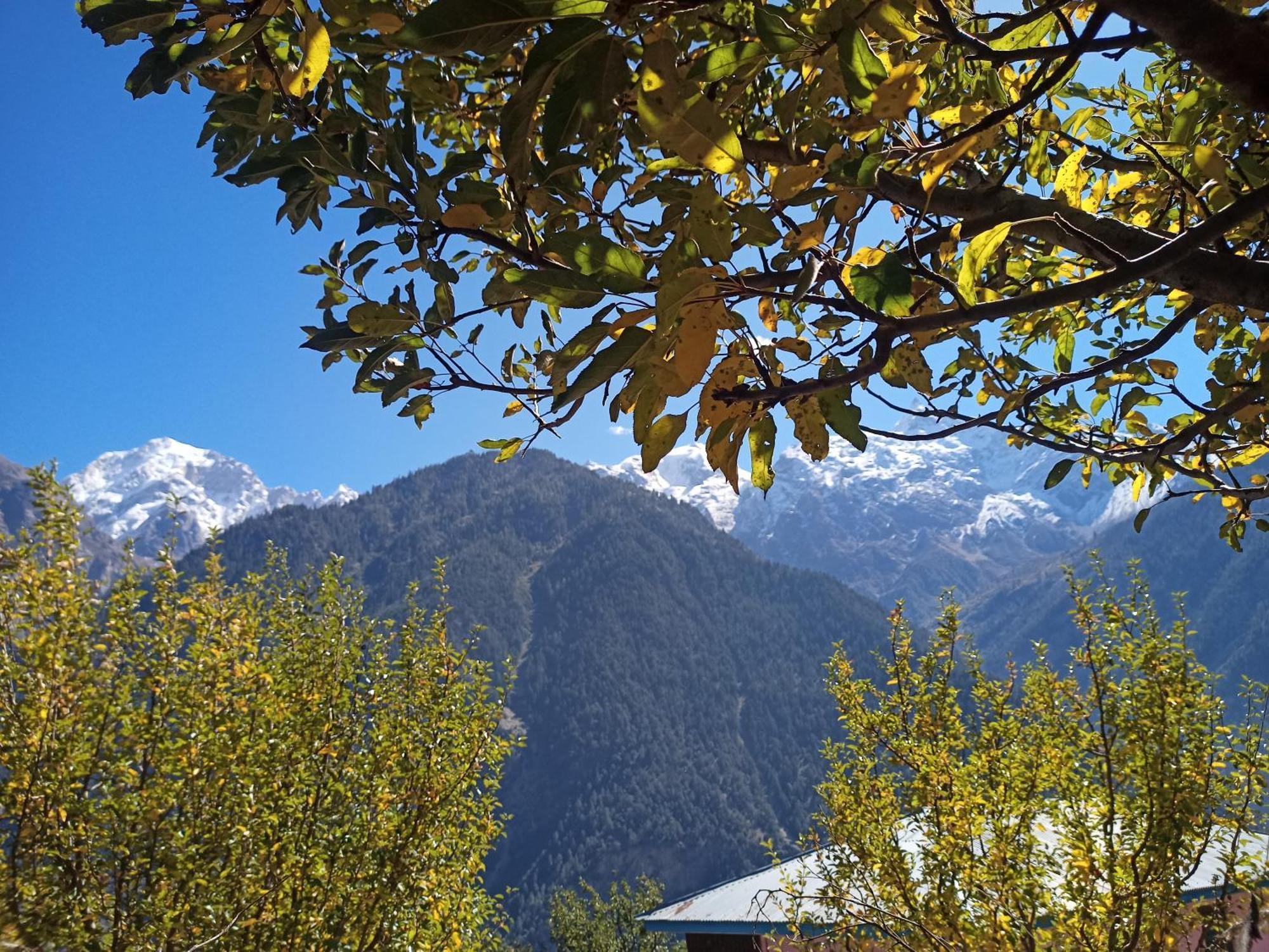 The Shudarang Inn Kalpa Exteriör bild
