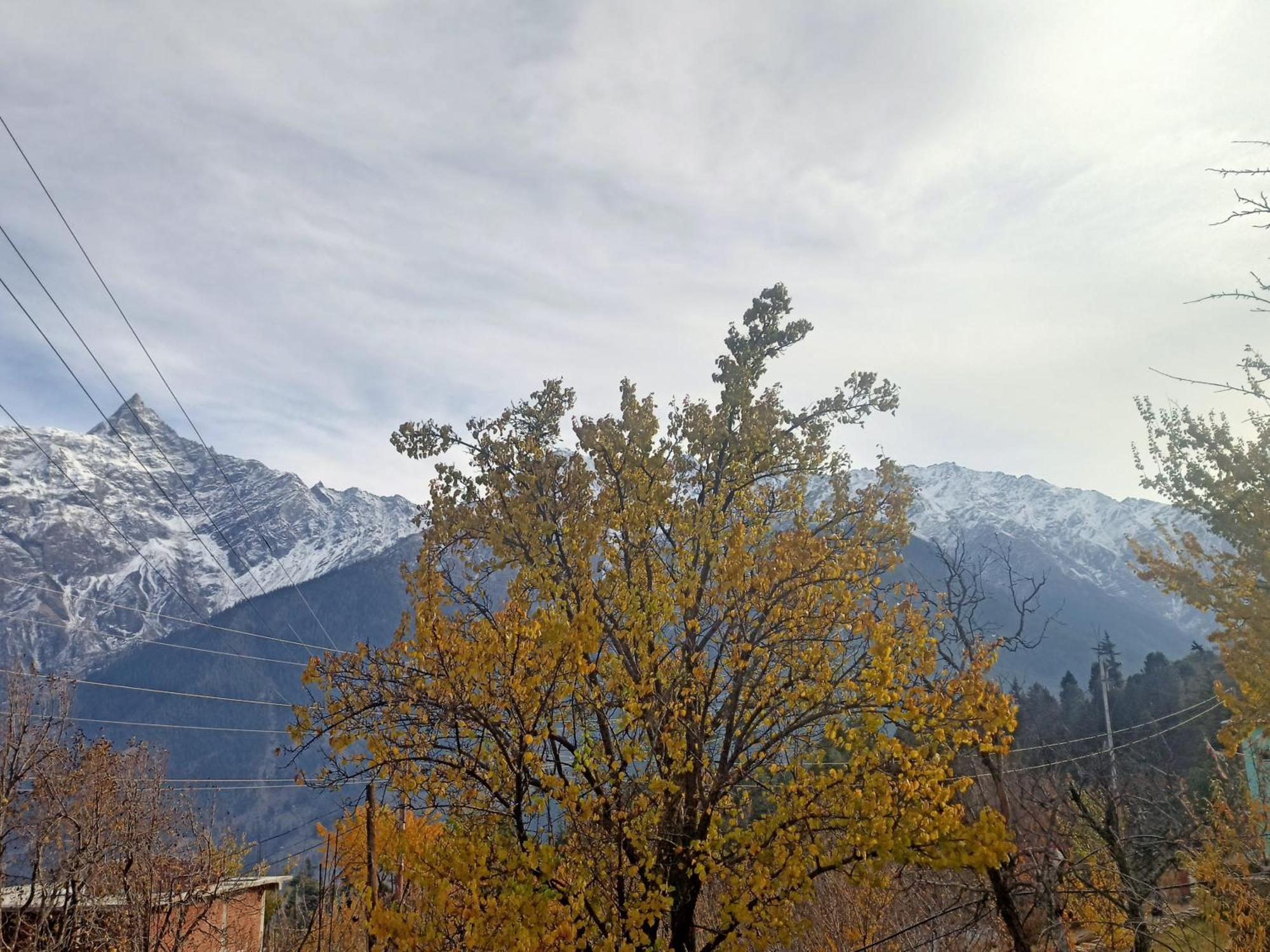 The Shudarang Inn Kalpa Exteriör bild